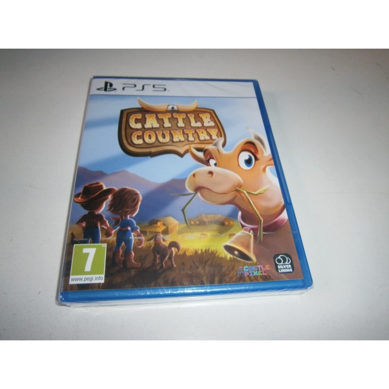 BATTLE COUNTRY PS5